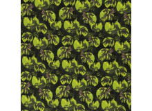 Baumwolle - Mystic Dragons Drachen